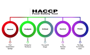 1686033421115691.png image.png